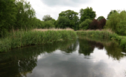 Mottisfont, River Test